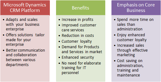 Microsoft Dynamics CRM Consultants for Comprehensive Customer Care
